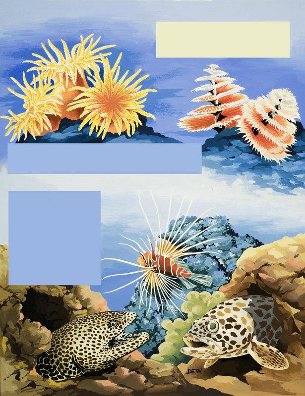 Unidentifizierte Unterwasserflora und -fauna von English School