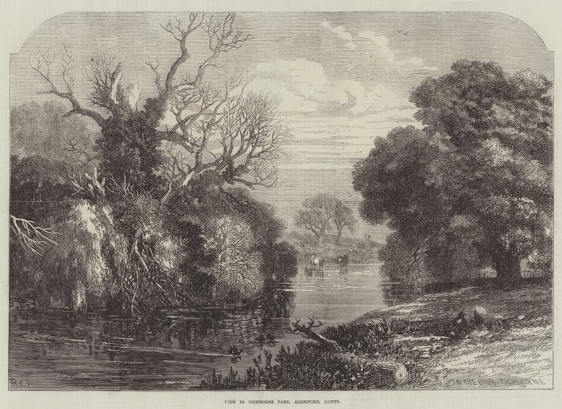 Ansicht im Tichborne Park, Alresford, Hants (Gravur) von English School