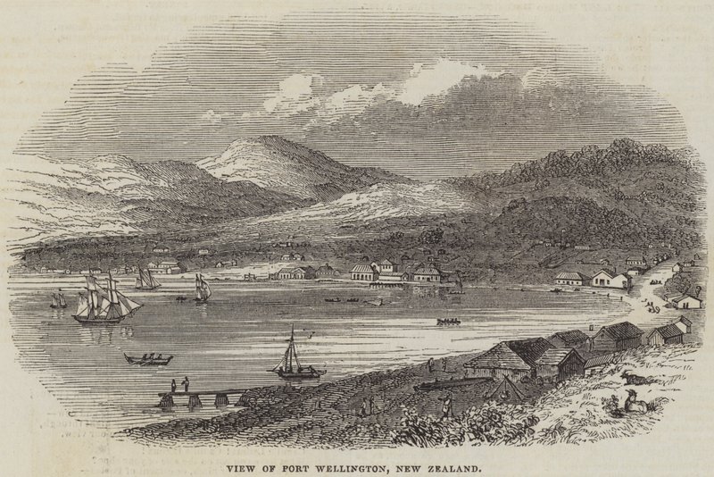 Ansicht von Port Wellington, Neuseeland (Stich) von English School