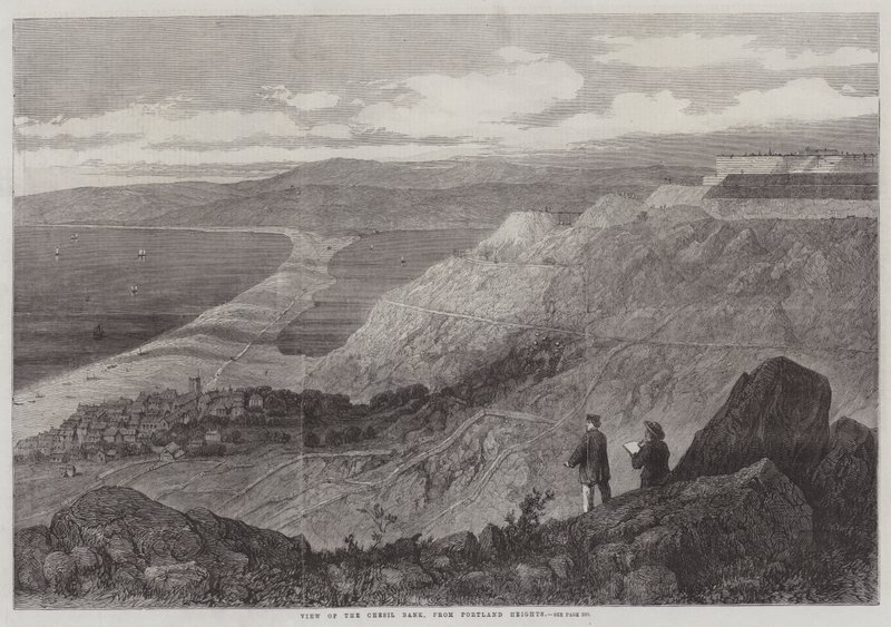 Ansicht der Chesil Bank von Portland Heights (Stich) von English School