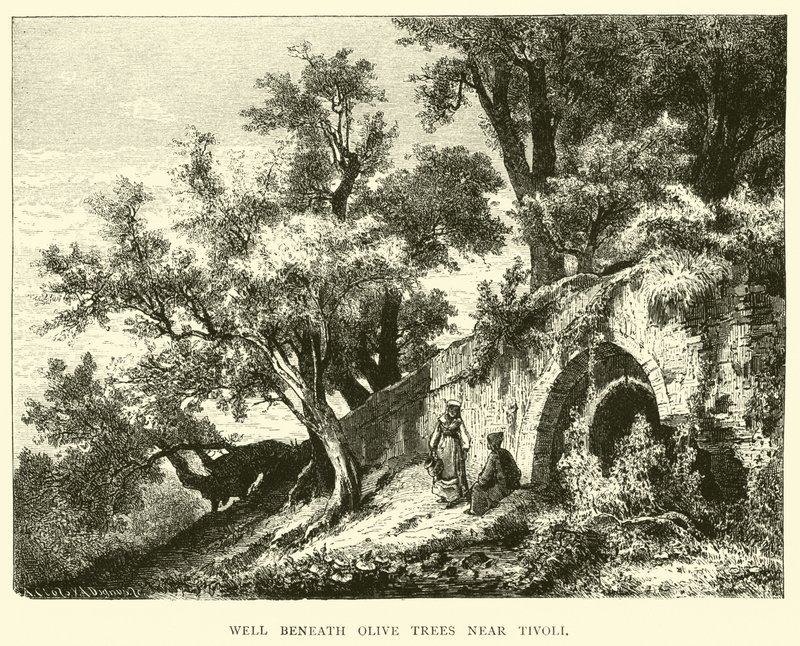 Brunnen unter Olivenbäumen bei Tivoli von English School