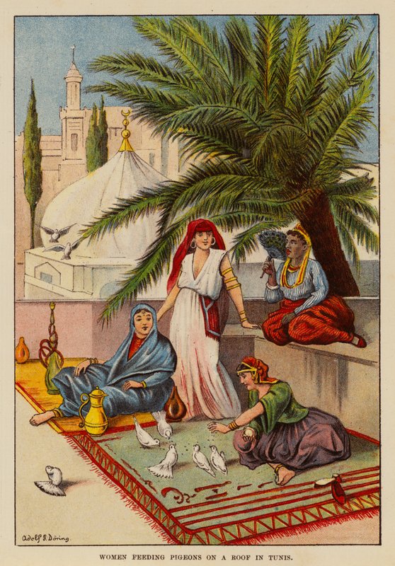 Frauen füttern Tauben auf einem Dach in Tunis von English School