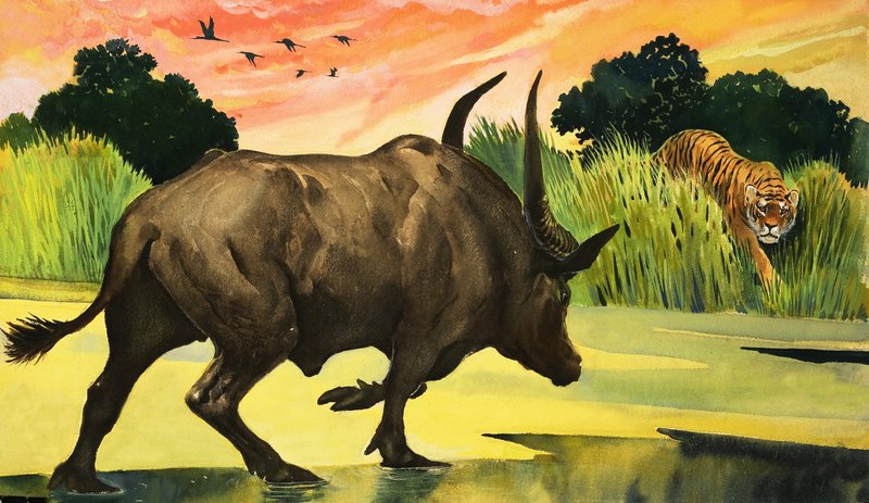 Wunder der Natur: Das wildeste Tier von allen von English School