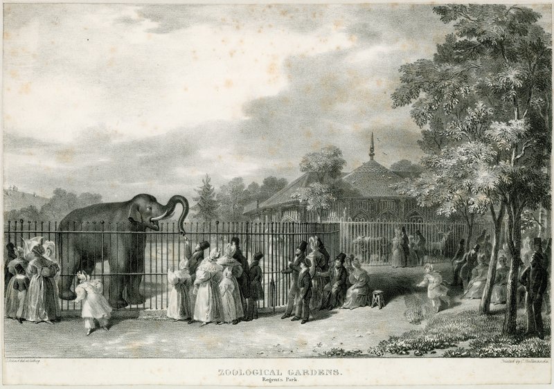 Zoologische Gärten, Regents Park von English School