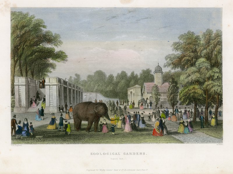 Zoologische Gärten, Regents Park von English School