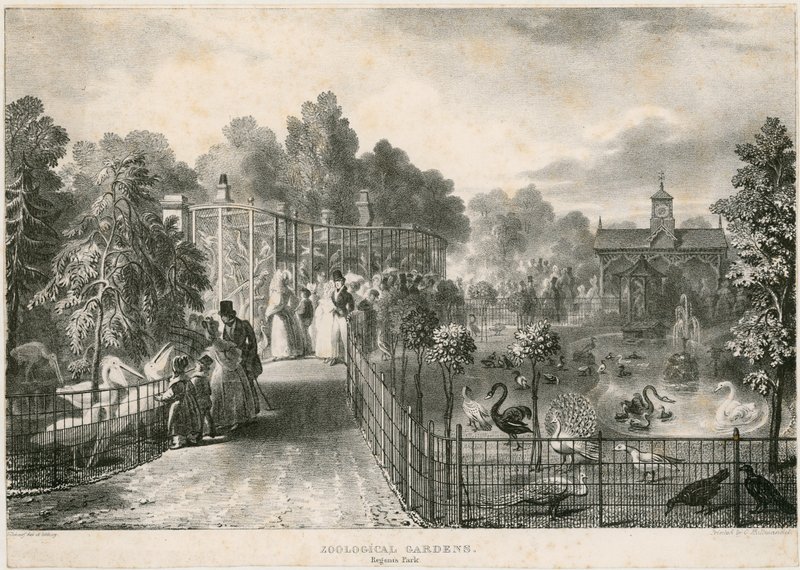 Zoologische Gärten, Regents Park von English School