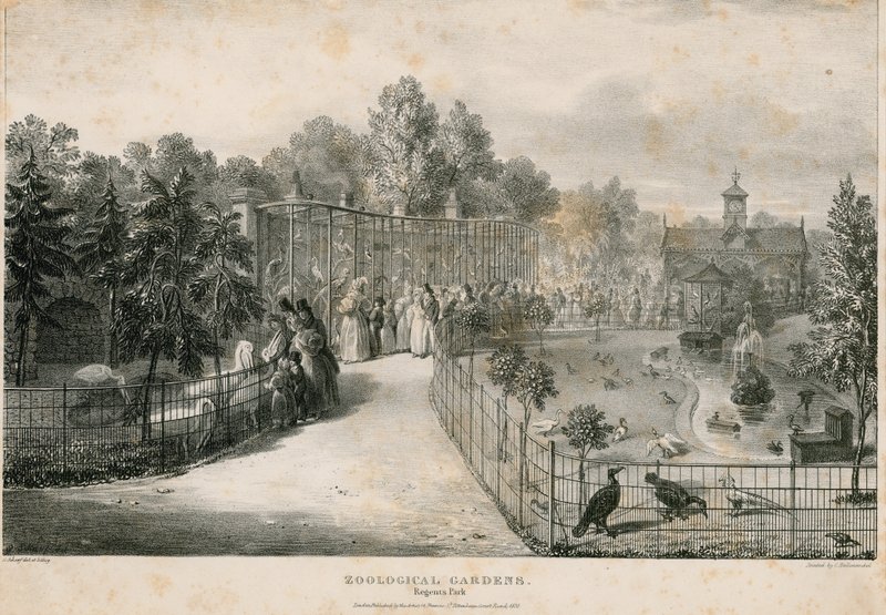 Zoologische Gärten, Regents Park von English School