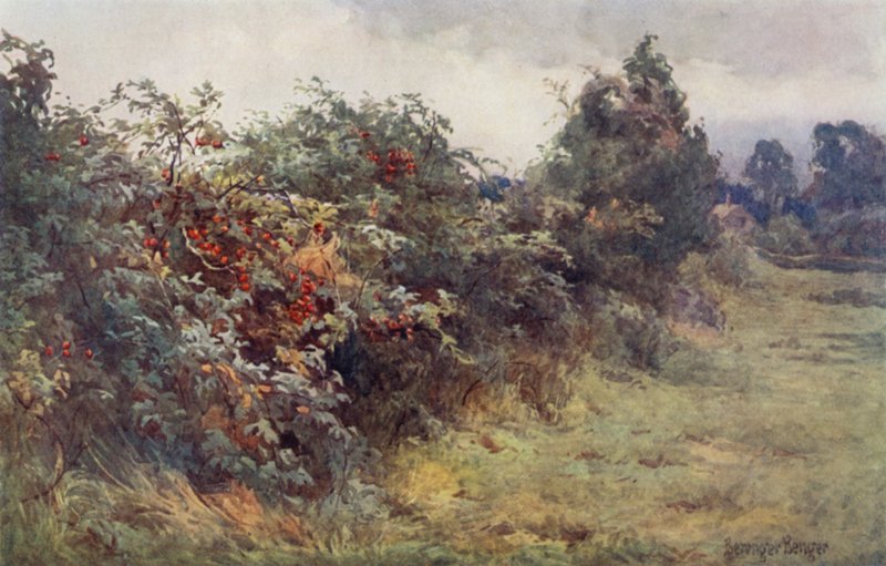 Die Offenbarung der Reife von Ernest Benger or Berenger