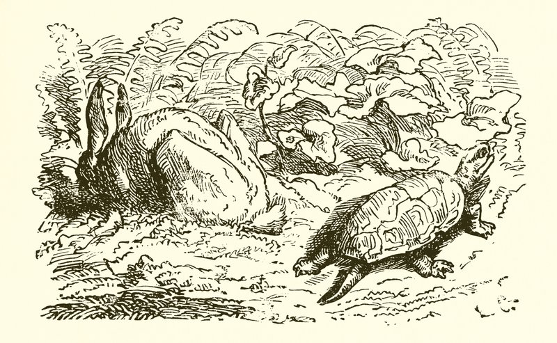 Der Hase und die Schildkröte von Ernest Henry Griset