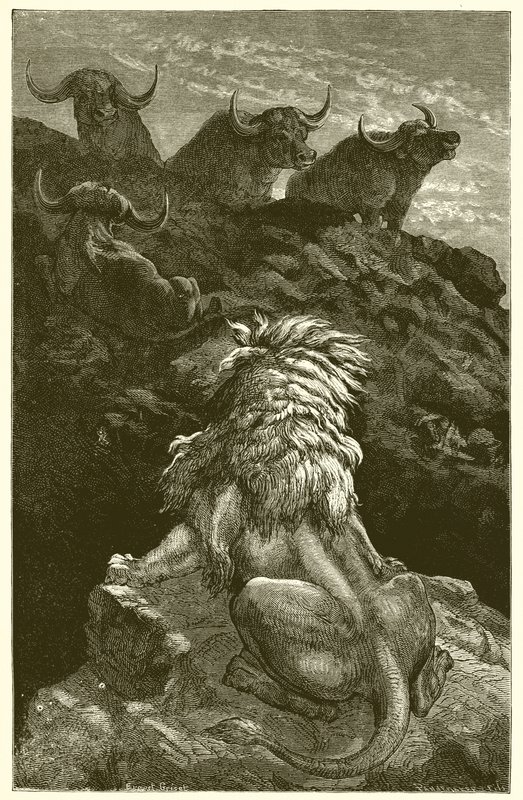 Der Löwe und die vier Stiere von Ernest Henry Griset