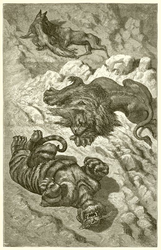 Der Löwe, der Tiger und der Fuchs von Ernest Henry Griset