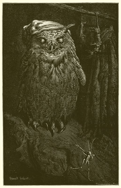 Die Eule und die Heuschrecke von Ernest Henry Griset