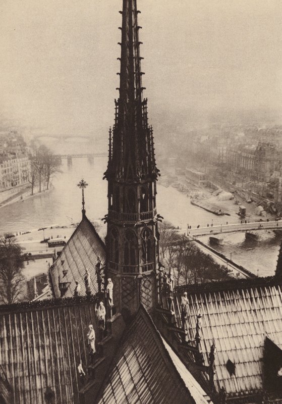 Paris: Der Turm von Notre-Dame von den Türmen aus gesehen von European Photographer