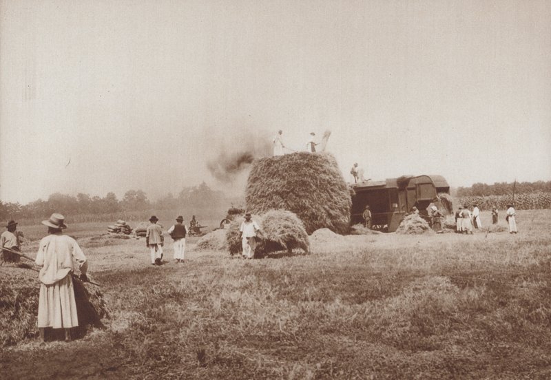 Weizendreschen auf der Alfold, die Ebenen von Ungarn von European Photographer