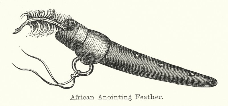 Afrikanische Salbungsfeder von European School