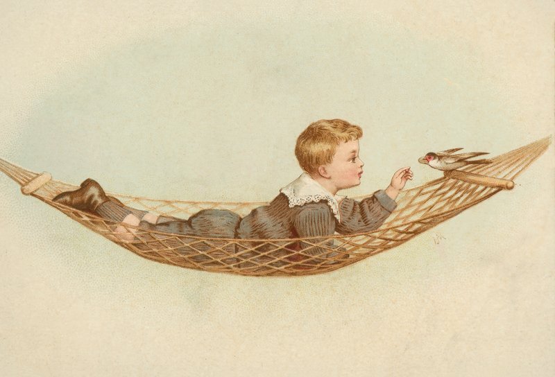 Junge, der in einer Hängematte liegt und einen Vogel füttert von European School
