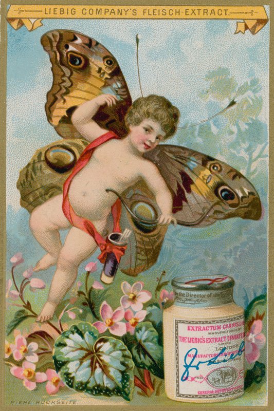 Schmetterlingsengel mit rosa Blumen von European School