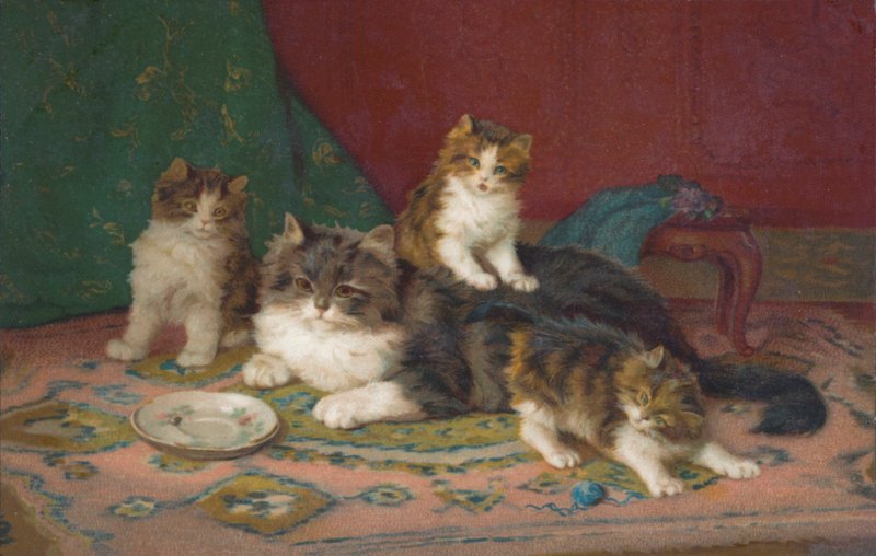 Katzenpostkarte von European School