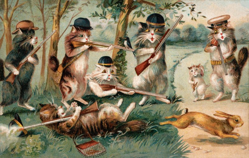 Komische Katzen auf der Jagd nach Kaninchen von European School