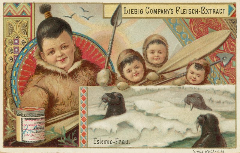 Eskimo von European School