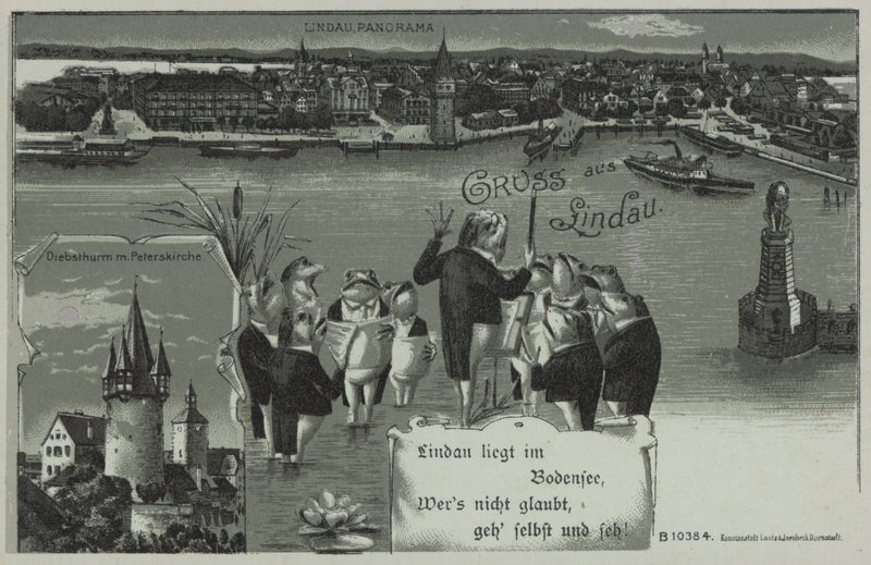 Froschkonzert in Lindau von European School