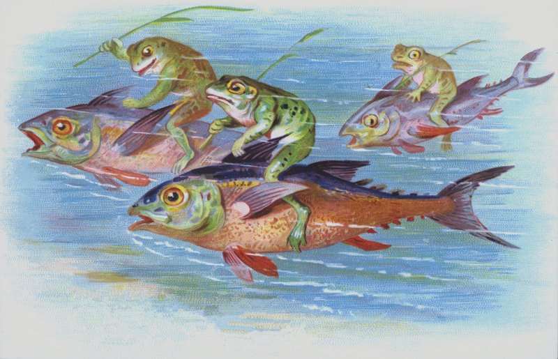 Frösche reiten auf Fischen von European School