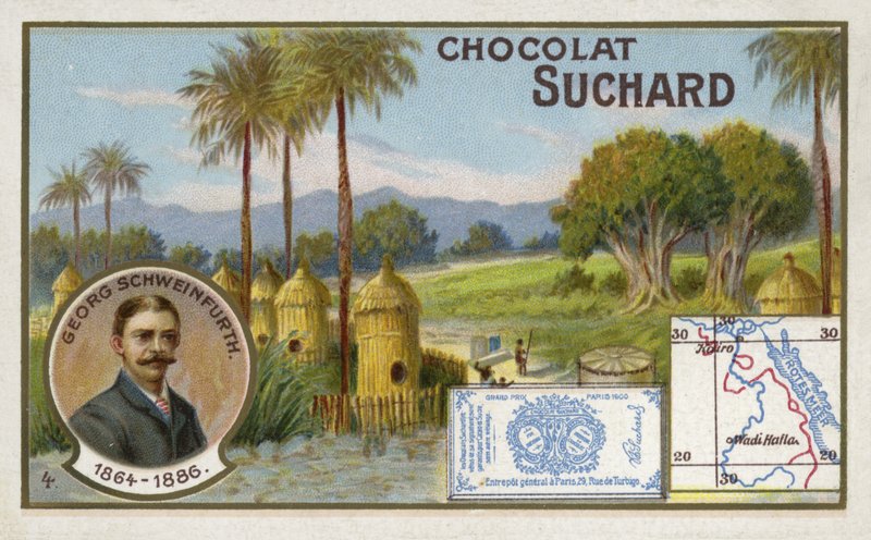 Georg Schweinfurth, deutscher Botaniker und Entdecker von European School