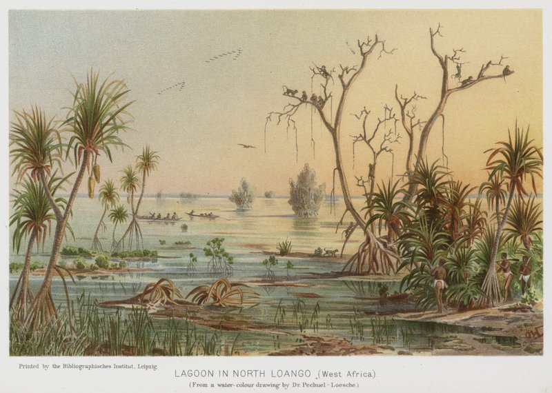 Lagune in Nord-Loango, Westafrika von European School