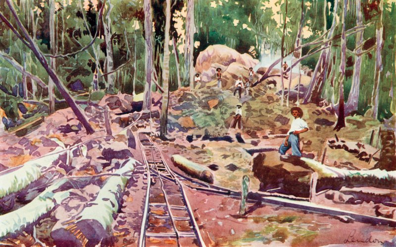 Durchdringen des Amazonaswaldes, Madeira-Mamore Eisenbahn von European School
