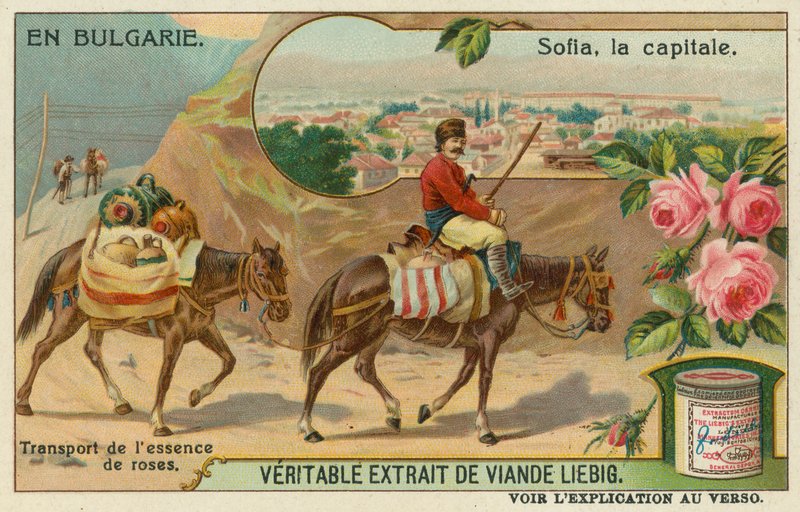 Sofia und ein Händler, der Rosenessenz transportiert von European School