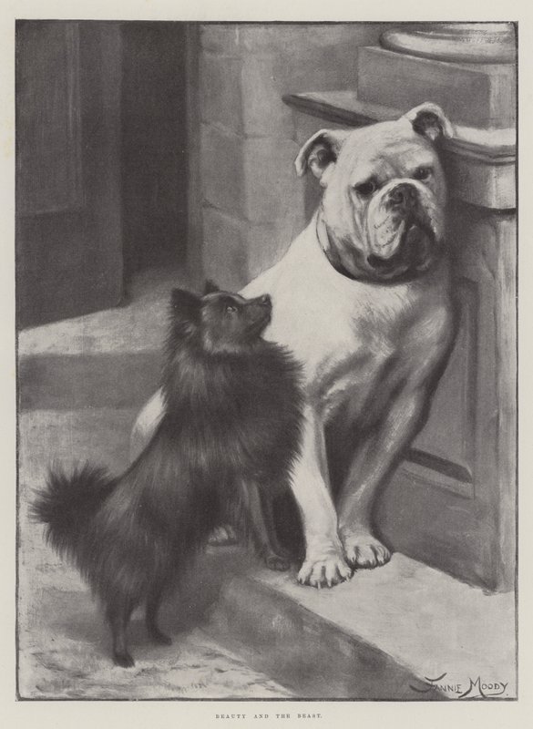 Die Schöne und das Biest von Fannie Moody