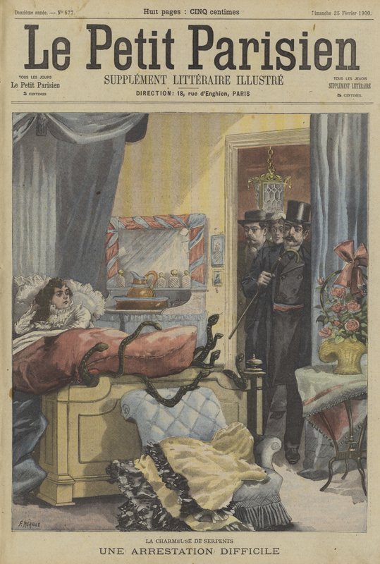 Die schwierige Verhaftung eines Schlangenbeschwörers von Fortune Louis Meaulle