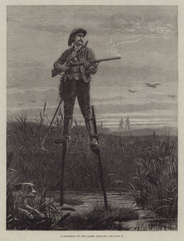 Ein Sportsmann der Landes (Frankreich) von Frank Dadd