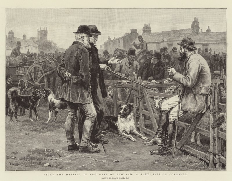 Nach der Ernte im Westen Englands, ein Schafmarkt in Cornwall von Frank Dadd