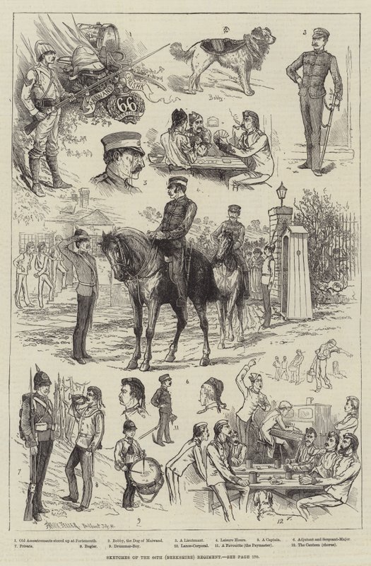Skizzen des 66. (Berkshire) Regiments von Frank Feller