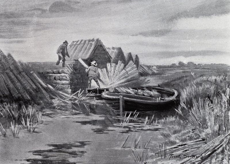 Norfolk Broads: Schilf stapeln von Frank Southgate