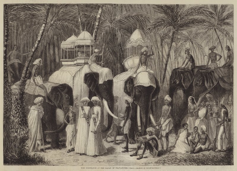 Die Elefanten des Rajah von Travancore von Frank Vizetelly