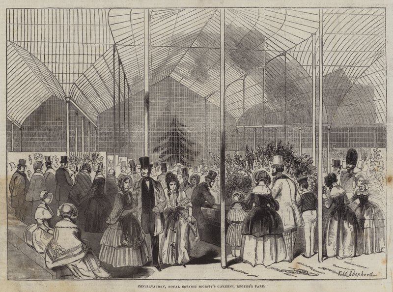 Konservatorium, Gärten der Royal Botanic Society, Regent