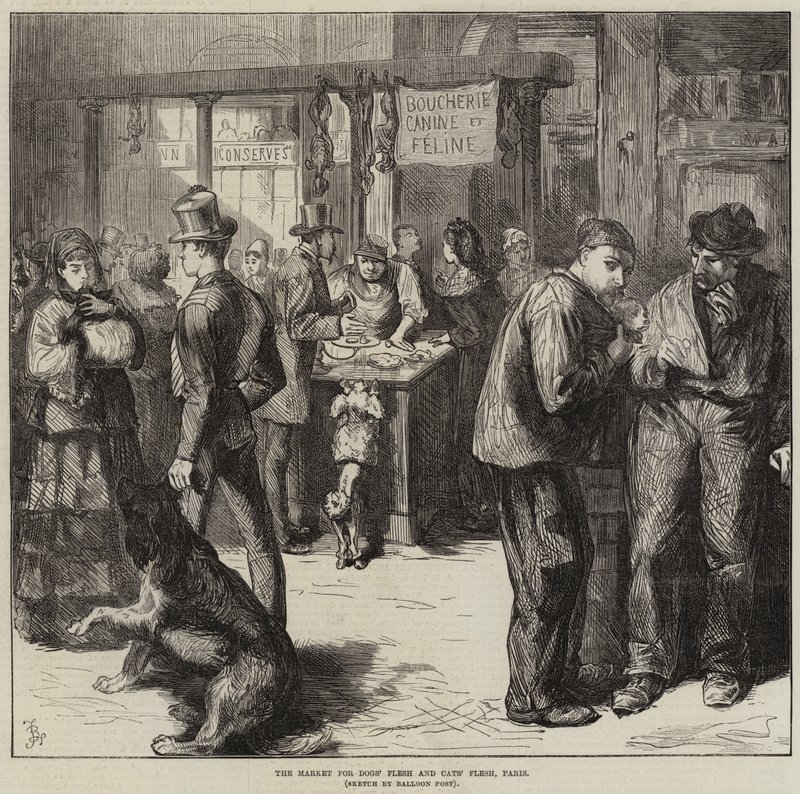 Der Markt für Hunde- und Katzenfleisch, Paris von Frederick Barnard