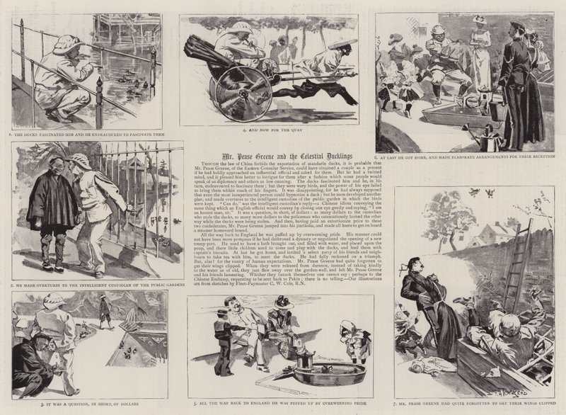 Mr Pease Greene und die himmlischen Entenküken von Frederick Henry Townsend