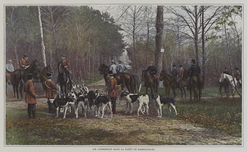 Eine Kreuzung im Wald von Rambouillet, Frankreich von French Photographer
