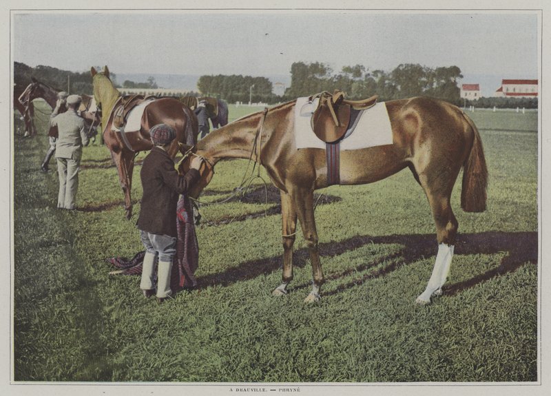 Rennpferde in Deauville, Frankreich von French Photographer
