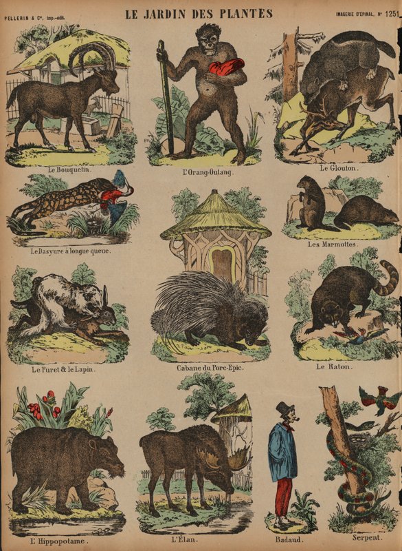 Tiere im Jardin des Plantes, Paris, Frankreich von French School