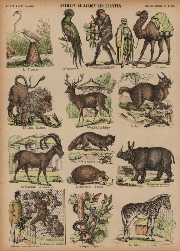 Tiere des Jardin des Plantes, Paris, Frankreich von French School