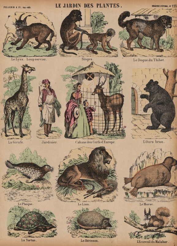 Tiere des Jardin des Plantes, Paris, Frankreich von French School