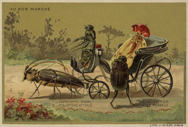 Au Bon Marché-Karten mit anthropomorphen Insekten von French School