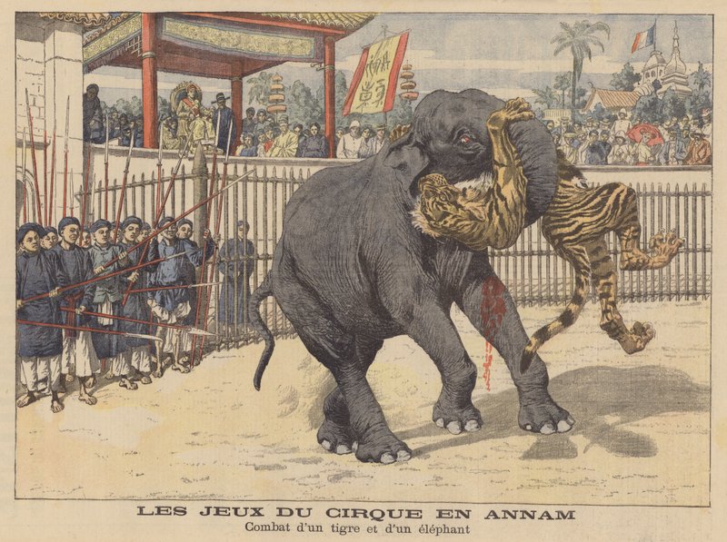 Kampf zwischen einem Elefanten und einem Tiger in einem Zirkus in Annam, Indochina von French School