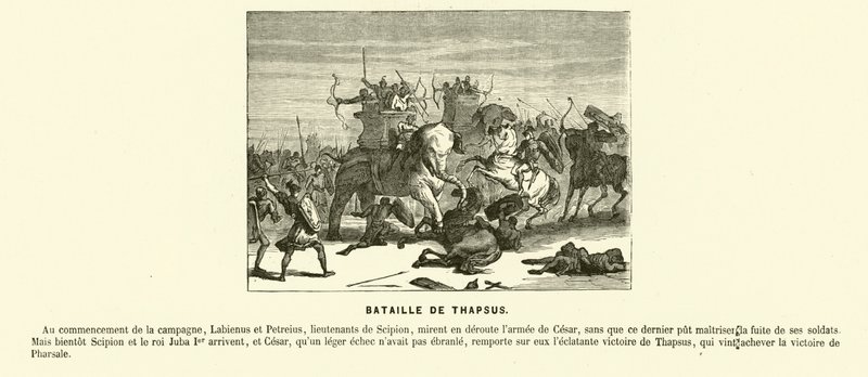 Schlacht von Thapsus, Nordafrika, Caesars Bürgerkrieg, 46 v. Chr. (Gravur) von French School