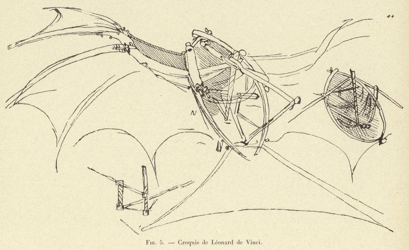 Skizzen von Leonardo da Vinci von French School