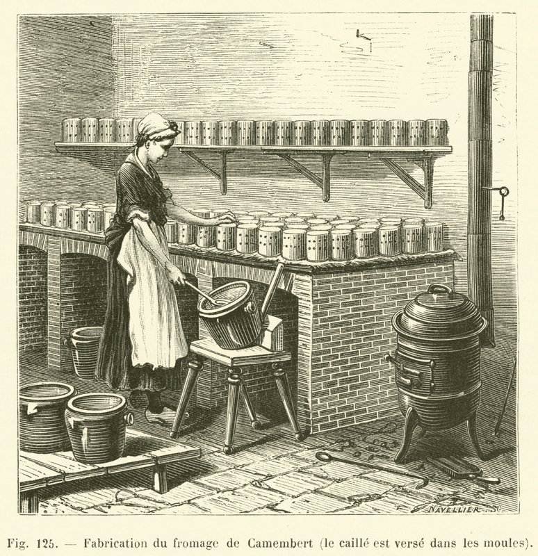 Herstellung von Camembert-Käse, die Quarkmasse wird in die Formen gegossen von French School